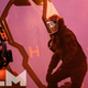 Illustration for article titled Updates From Morbius, Godzilla: King of the Monsters, and More